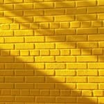 sorryaboutthiswall profile picture