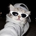 sorted_guy profile picture