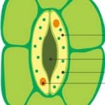 sou.lmate54321 profile picture