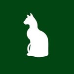 soufeline profile picture