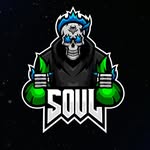 soulesportsofficial profile picture