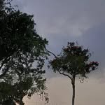 soulethic_ profile picture