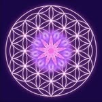 soulguidance profile picture