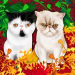 soulpatchkat profile picture