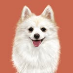 soungsoung_2022 profile picture