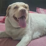 sourabh_gupte profile picture