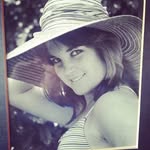 southbaykat profile picture