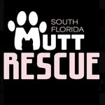 southfloridamuttrescue profile picture