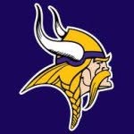 southshorevikings profile picture