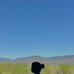 sovanikaly profile picture