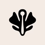sowvital.official profile picture