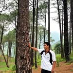 soyam_dasila profile picture