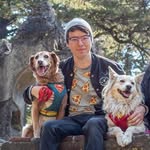 soy_dogvader profile picture