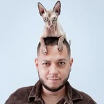 soyhenryorozco profile picture