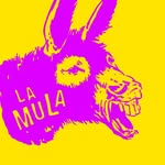 soylamula profile picture