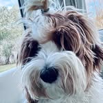 soynalu_ profile picture