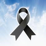 soypamelacarbajal profile picture