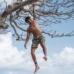 soysimon profile picture