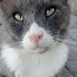 soysoy4597 profile picture