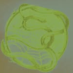 sp5derworldwide profile picture
