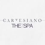 spacartesiano profile picture