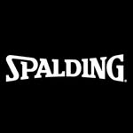 spalding profile picture