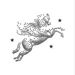 spaziofonte profile picture