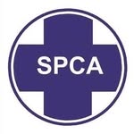 spcadbn profile picture