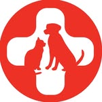 spca_international profile picture