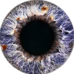 spencerlowell_ profile picture