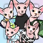 sphynxcat.hk profile picture