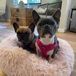spikeyandlola profile picture