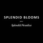 splendidblooms profile picture
