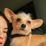 spockiscute profile picture