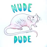 spoonstherat profile picture