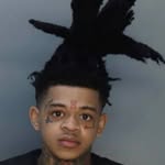 spotemgottem profile picture