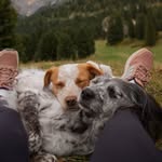spotsandtrails profile picture