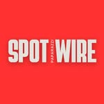 spottwire profile picture