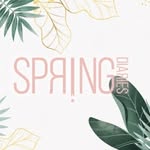 springdiariesstore profile picture