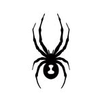 spyderactive profile picture