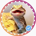 spyrothescaleypuppy profile picture