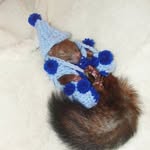 squirrel_veve profile picture