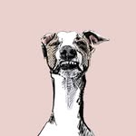 squishbanana_arlo profile picture