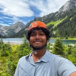 srichaitea profile picture