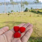 ssonjaya1 profile picture