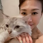 ssp.shin profile picture