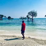 sssidhu15 profile picture