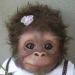ssssssab profile picture