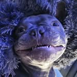 sst0rmy profile picture