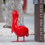 st.pete.shutups profile picture